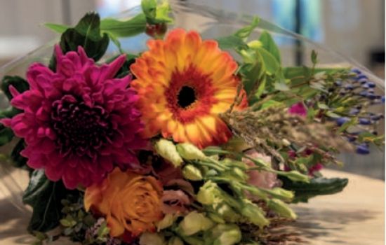 Gespreksavond, Bijbel, kunst en klimaatcrisis