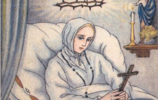 Excursie naar Schiedam