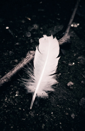 Gespreksgroep Ik mis je!