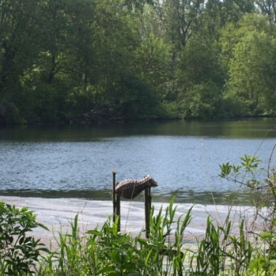 Scheppingswandeling 2026