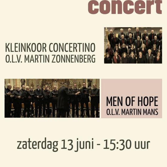 Middagconcert Men of hope