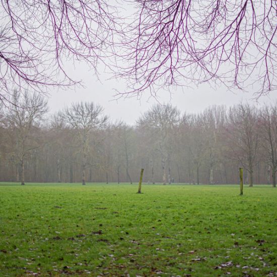 Parkdienst in Schollebos