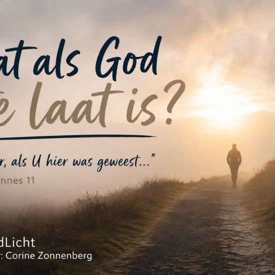 Zuidlicht bijeenkomst
