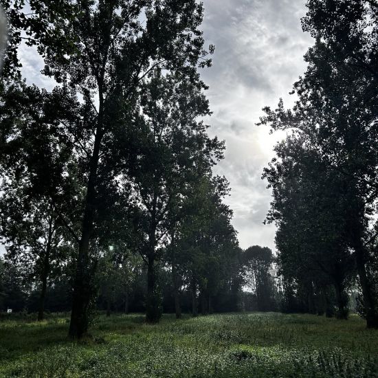 Wandelen in het Hitlandpark in Nieuwerkerk a/d IJssel