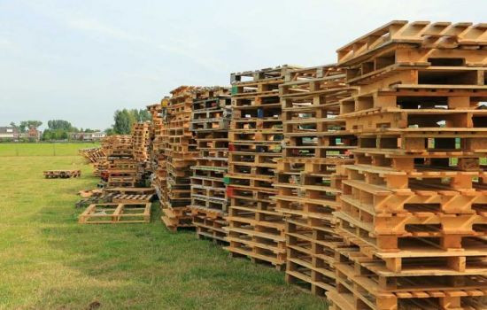 Timmerdorp Nesselande is aanvulling op de Zomerweek