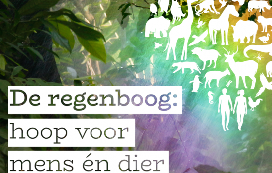 De regenboog: hoop voor mens én dier!