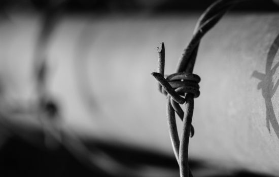 Esther van Schie ‘sporen van oorlog en mishandeling’