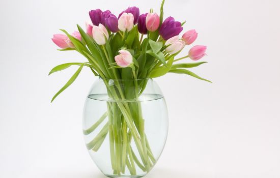 Esther van Schie ‘Gods Geest gebruikt alles’