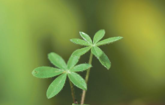 Pasen is een nieuw begin