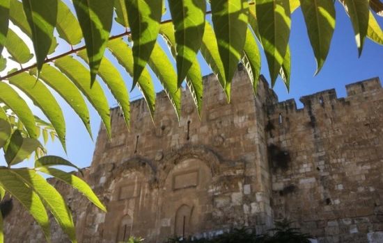 Chanoeka de 7de kaars