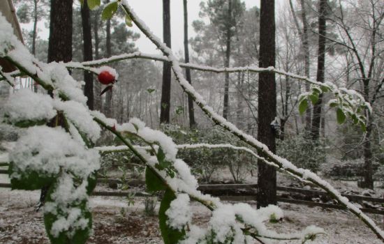 Henry en Betty Mulder ‘missionair werk combineren met een betaalde baan’