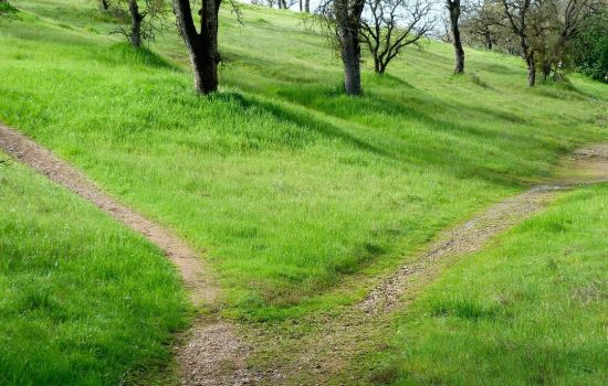 Esther van Schie ‘bekering’