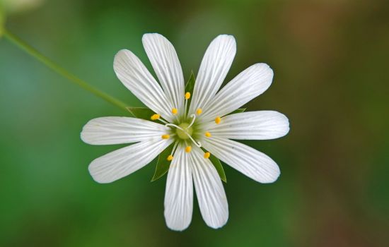 Grote muur wijst op het licht