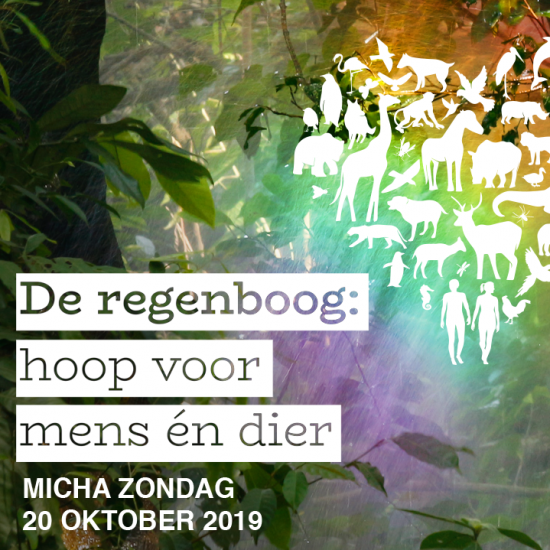 De regenboog: hoop voor mens én dier!